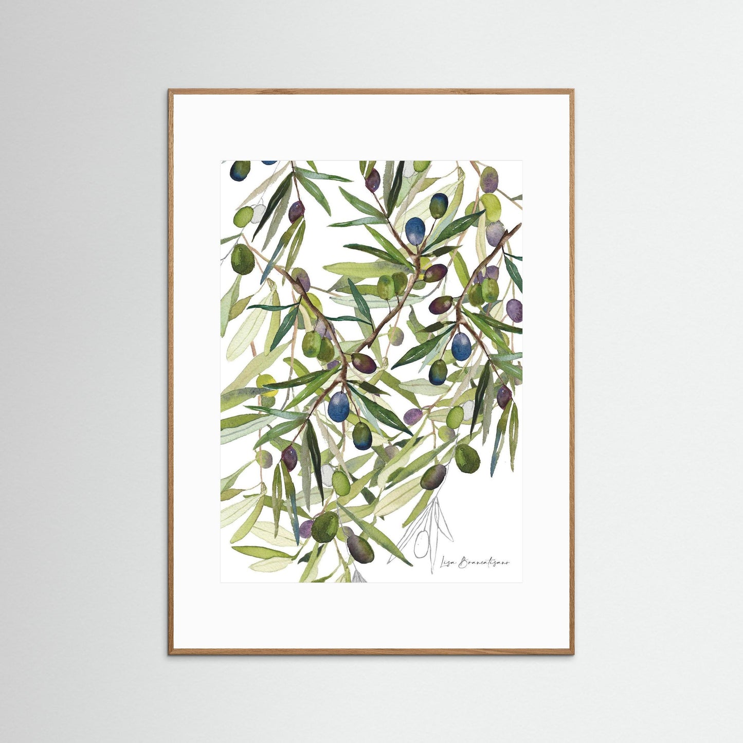 Olive Harvest