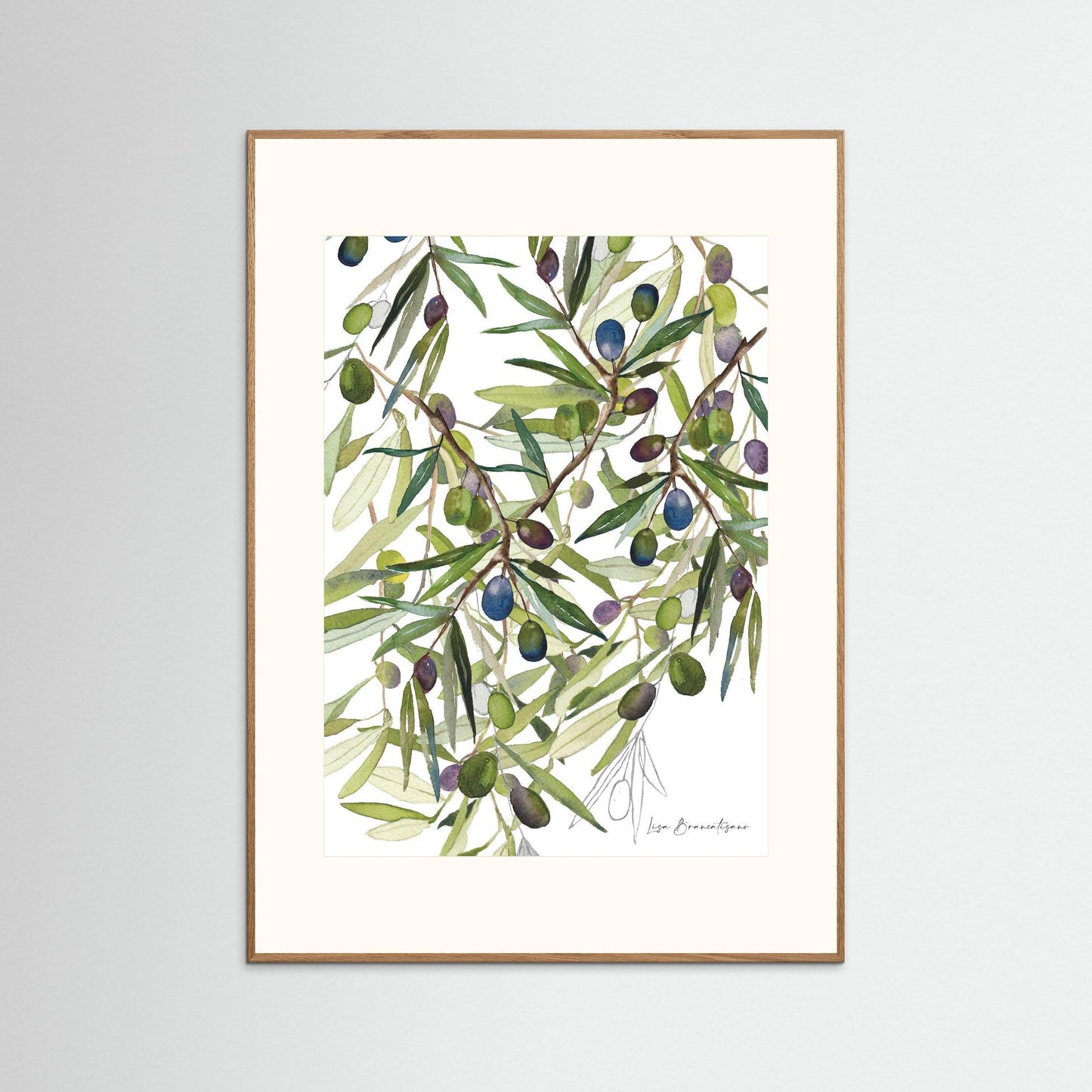 Olive Harvest