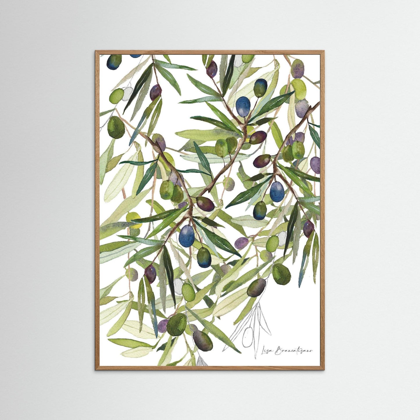 Olive Harvest