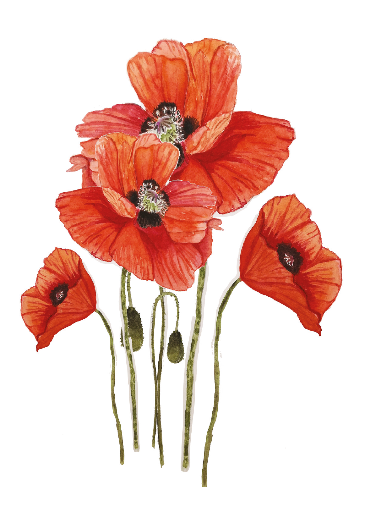 Floral Watercolour Cards - SET A