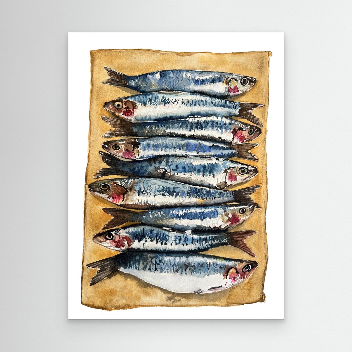 Sardines