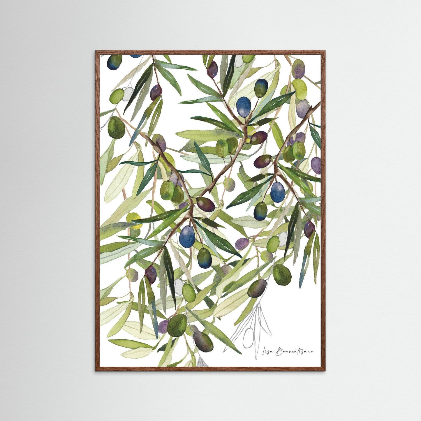 Olive Harvest