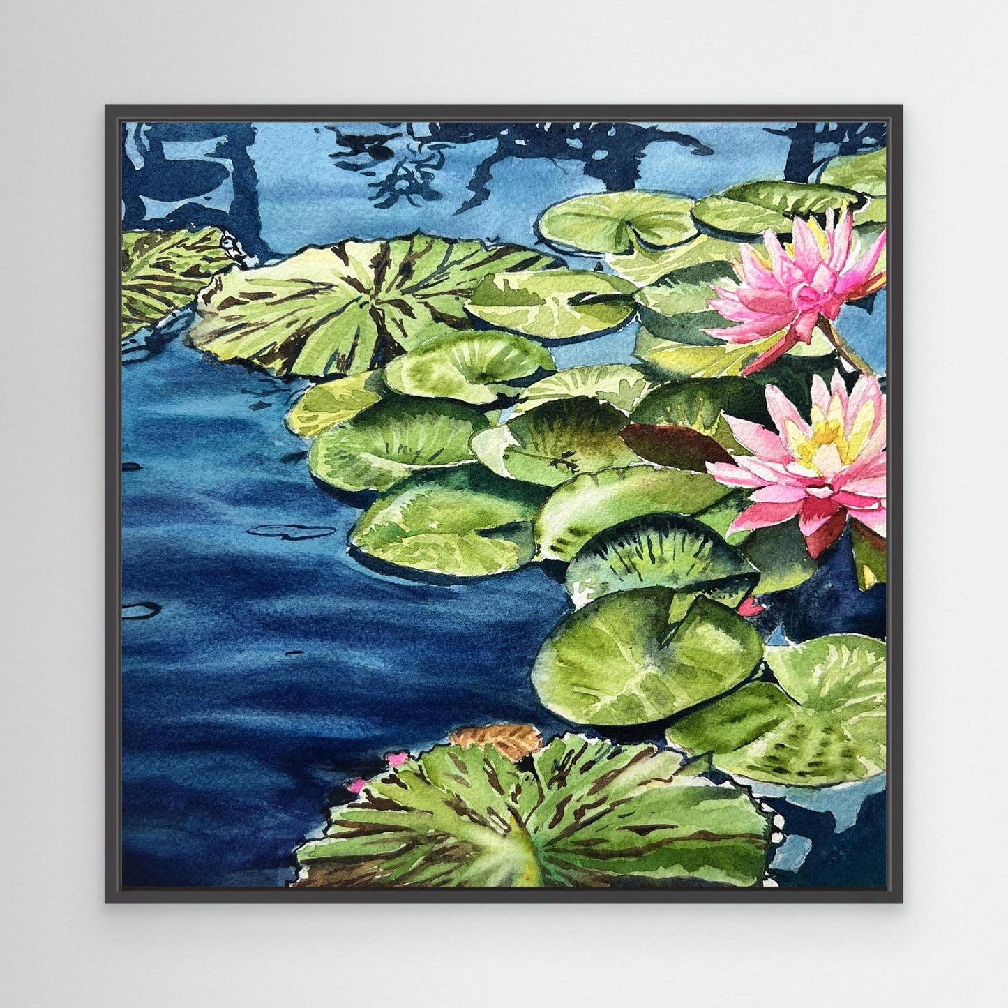 Water Lillies