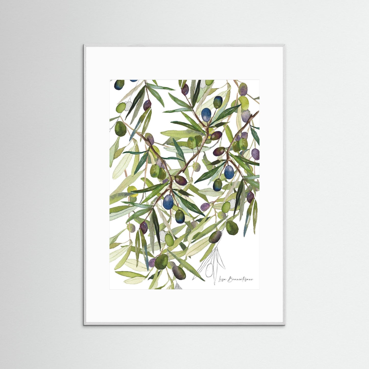Olive Harvest