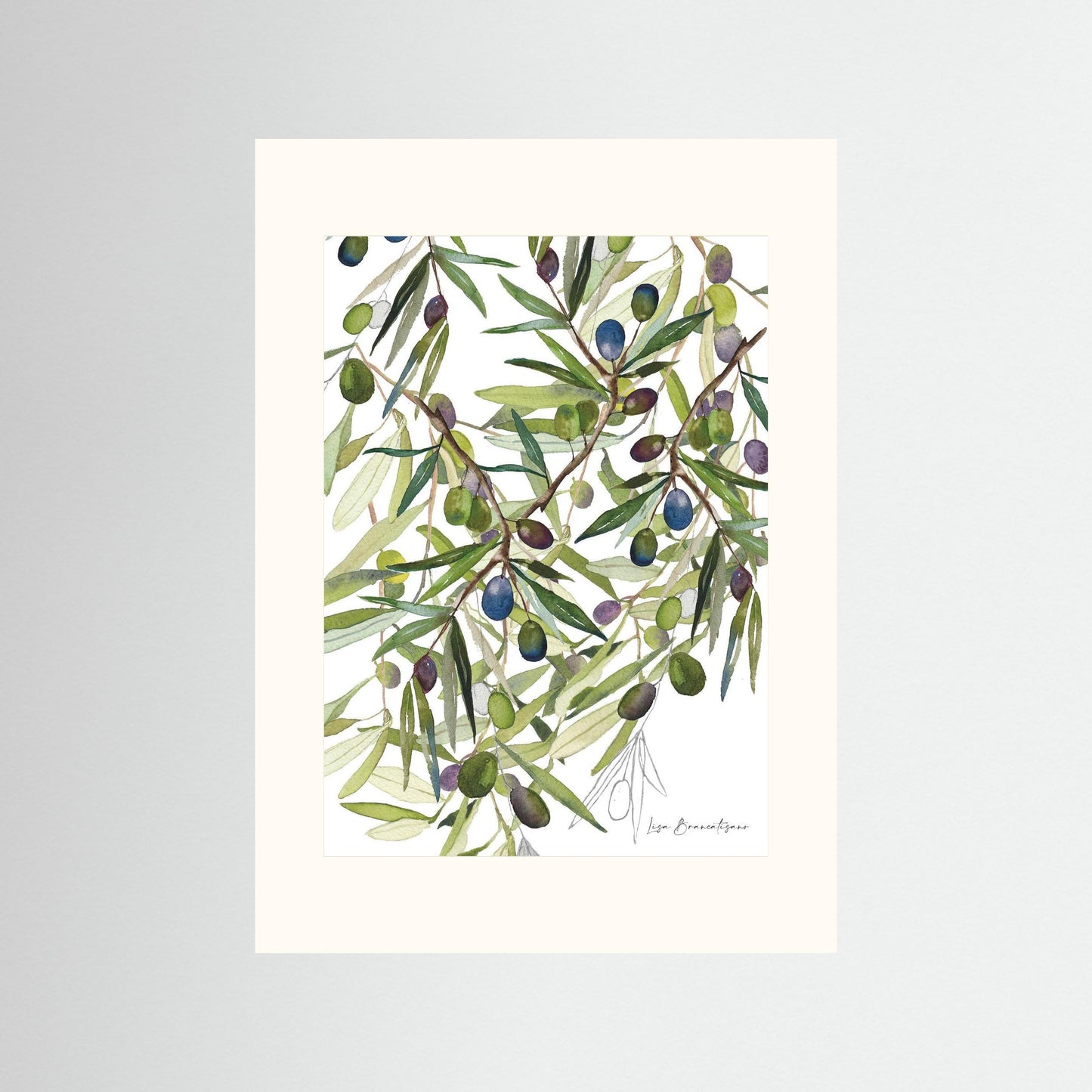 Olive Harvest