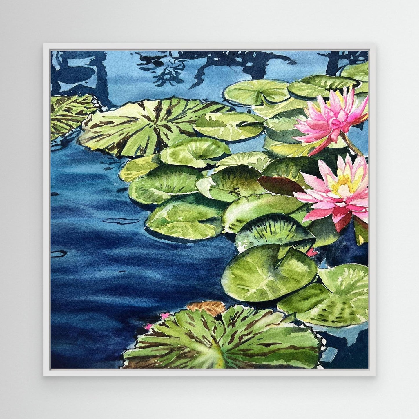 Water Lillies