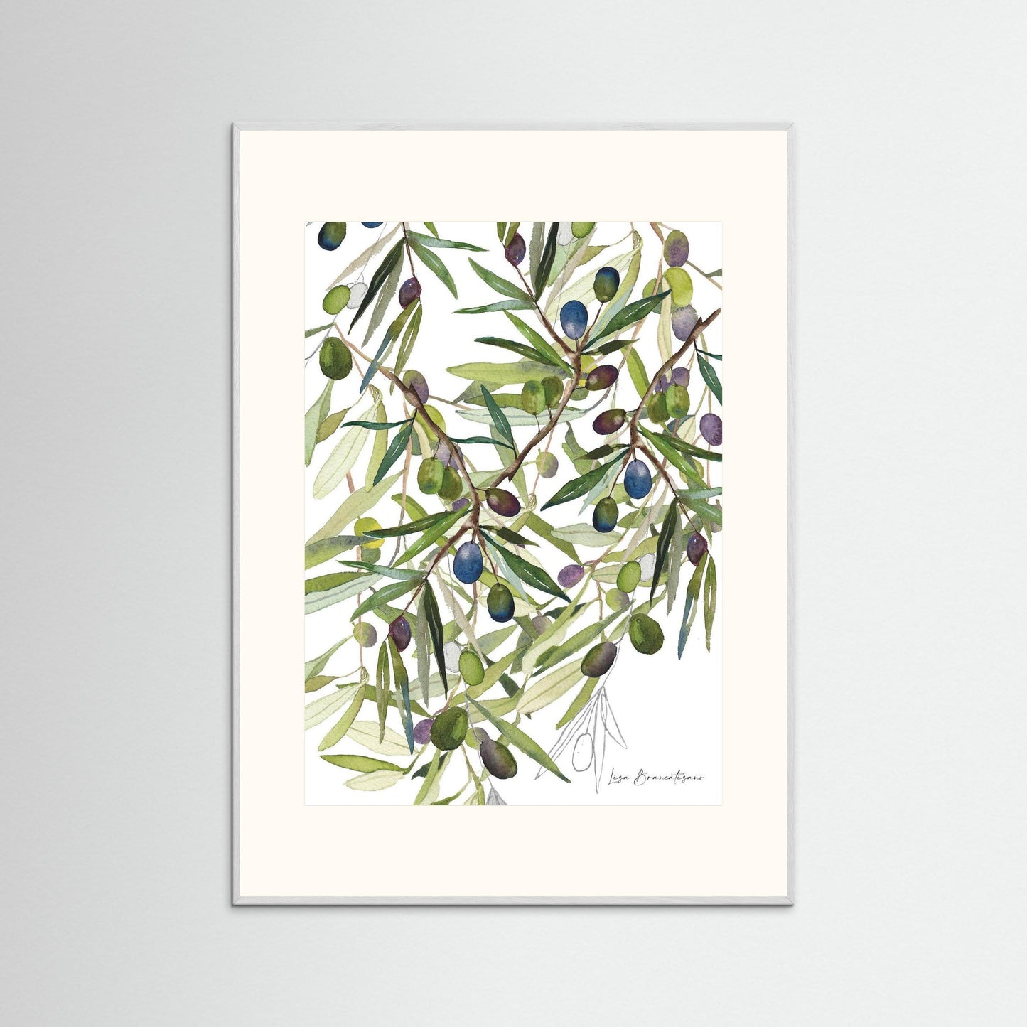 Olive Harvest