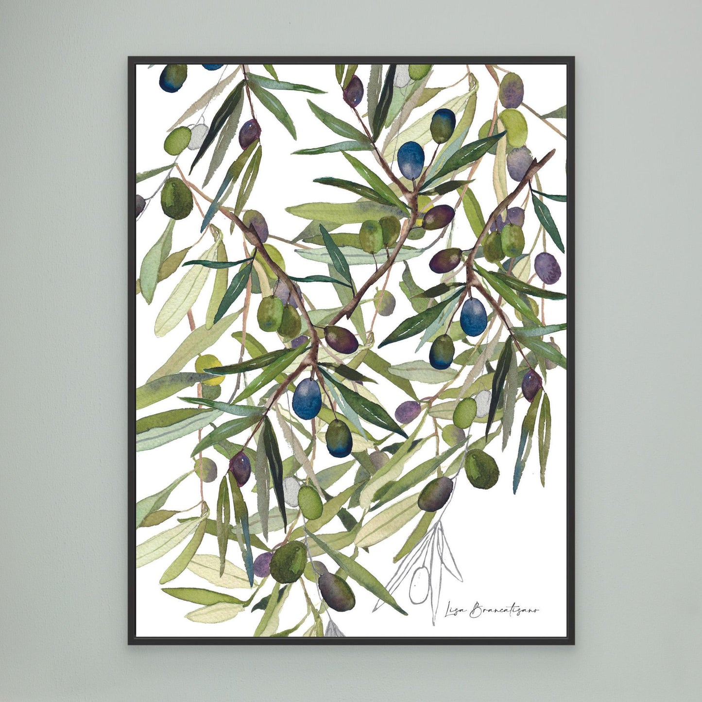 Olive Harvest