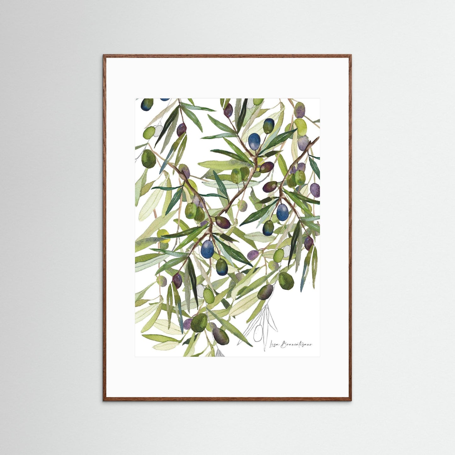 Olive Harvest