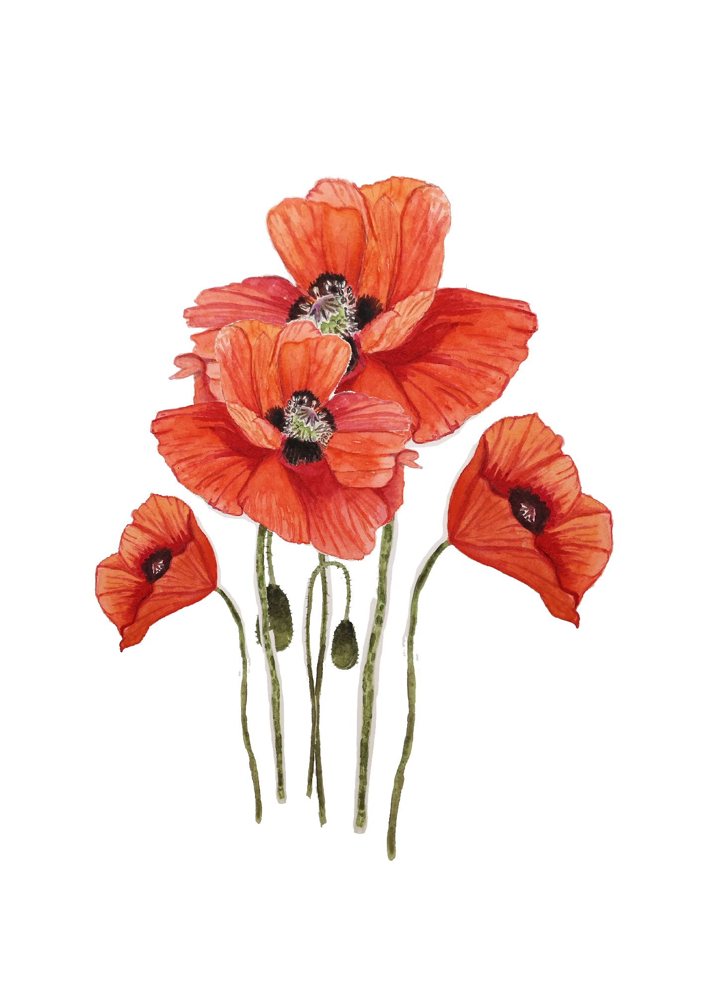 Floral Watercolour Cards-2022-23