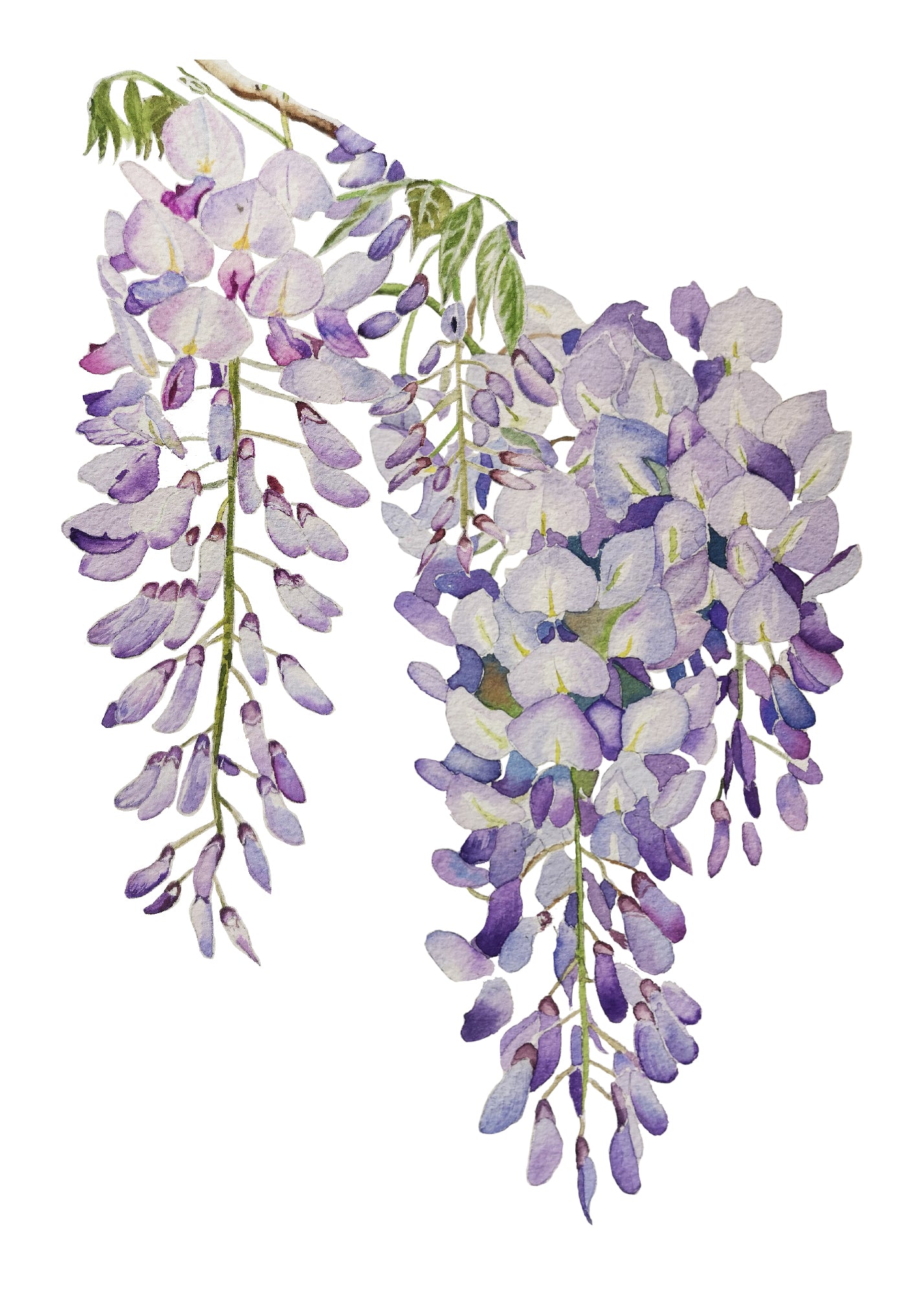 Floral Watercolour Cards-2022-23