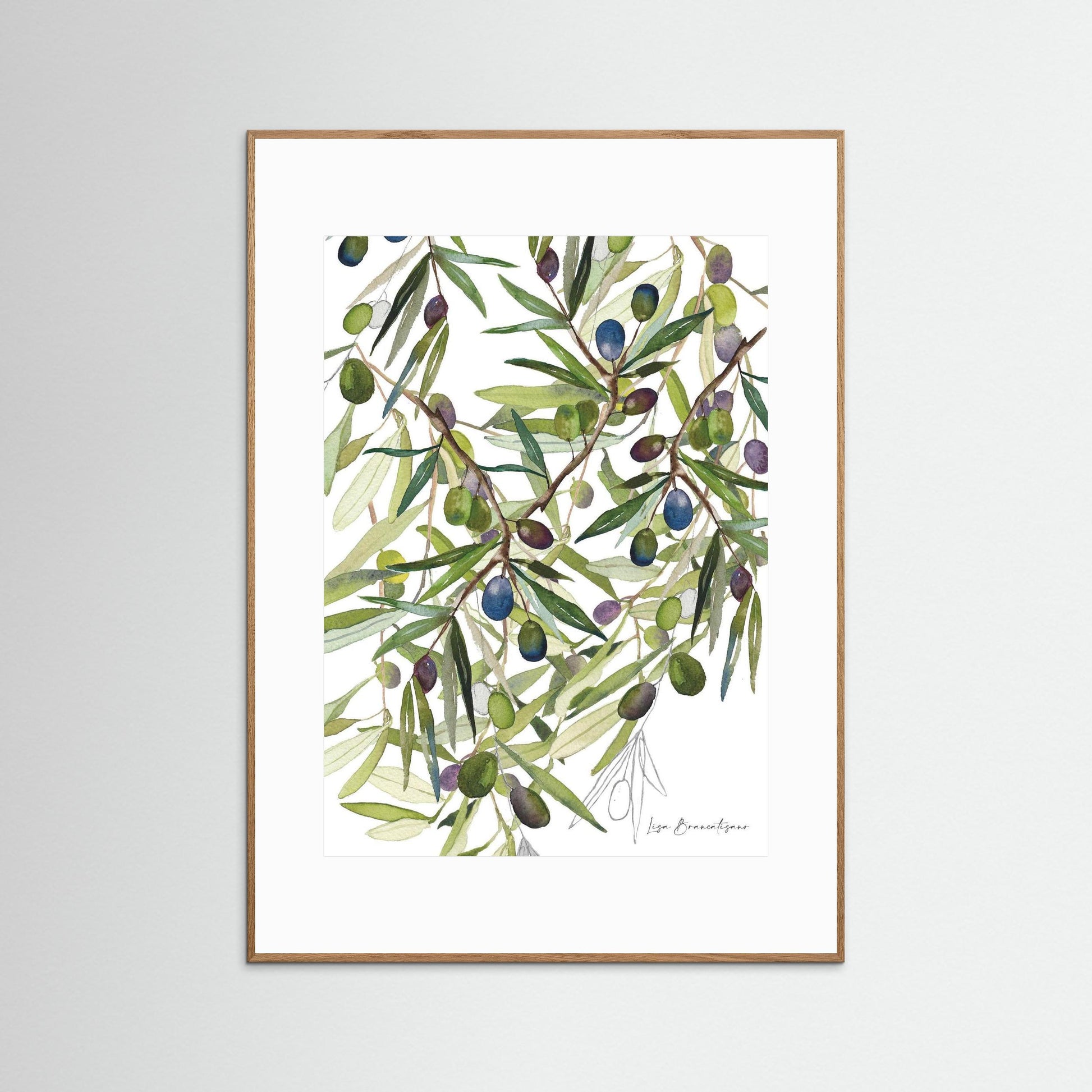 Olive Harvest