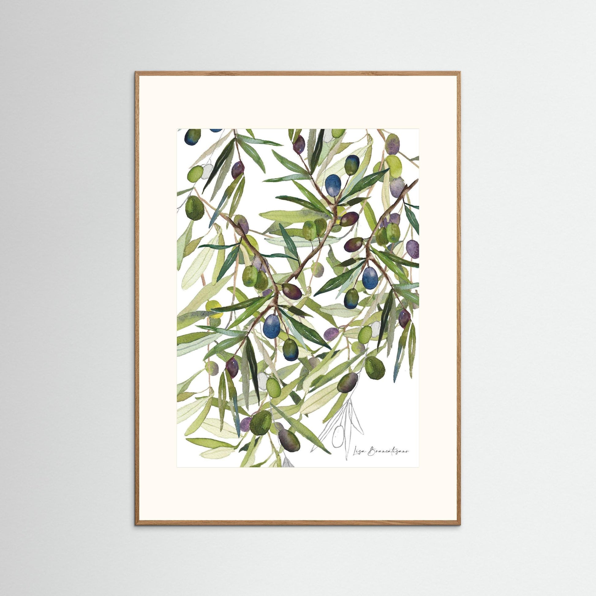 Olive Harvest