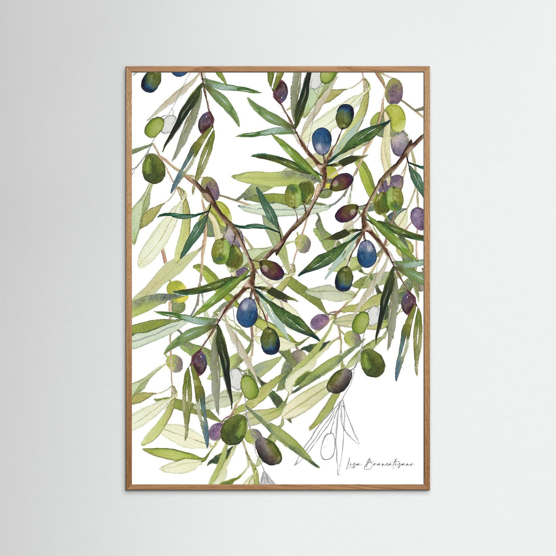 Olive Harvest