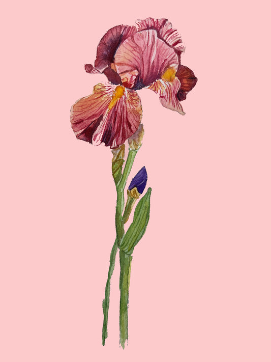 Floral Watercolour Cards - SET A