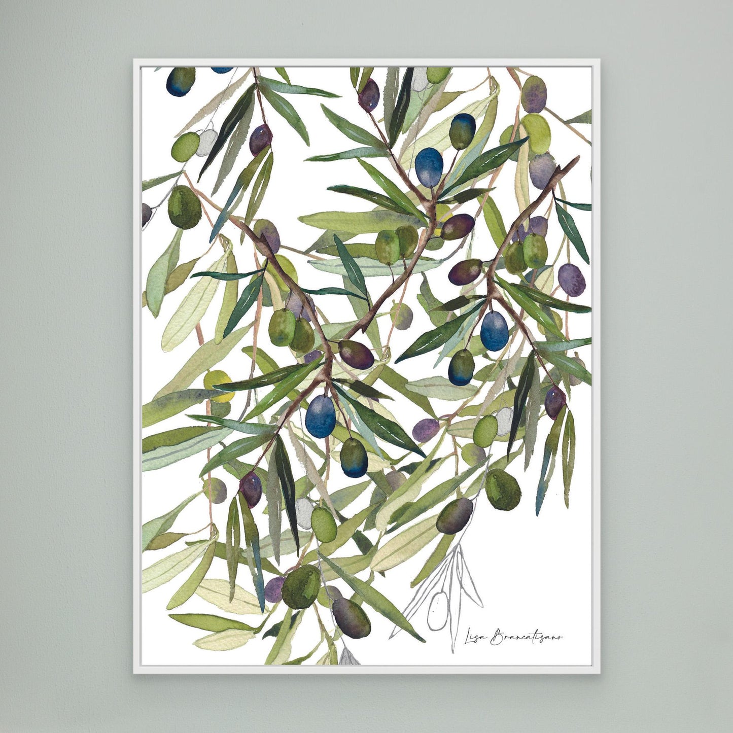 Olive Harvest