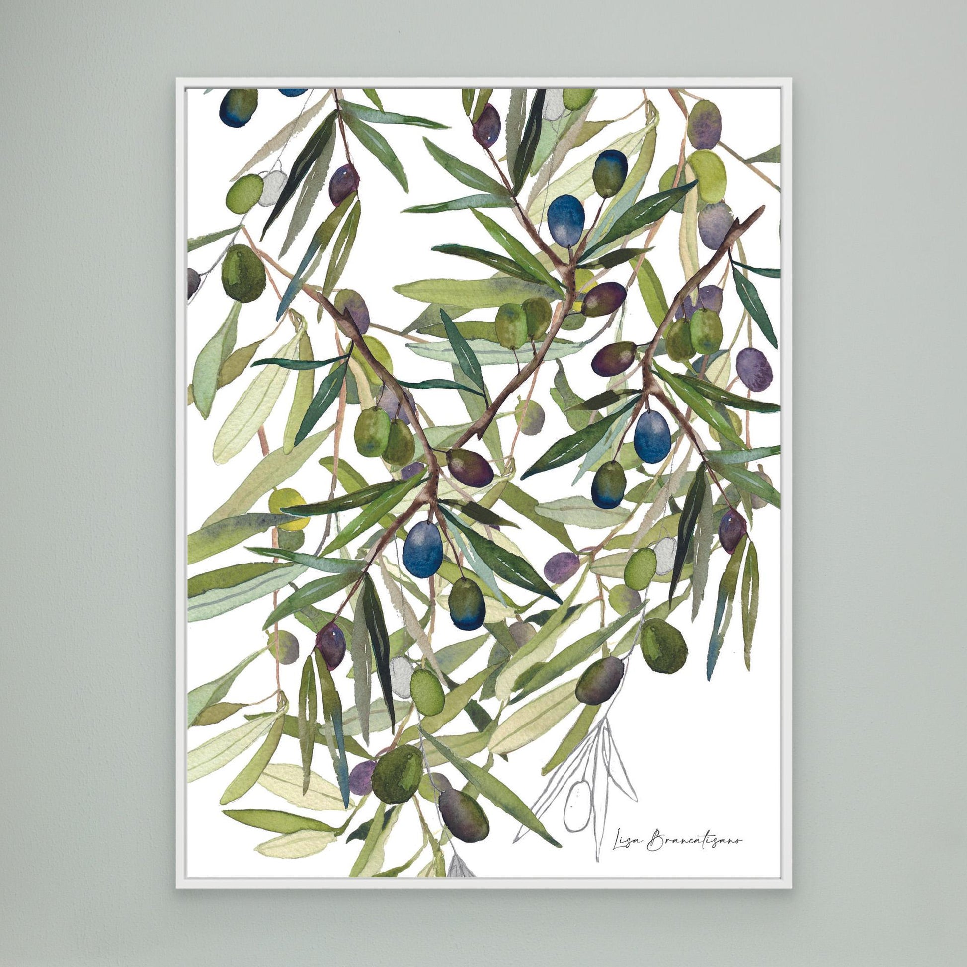 Olive Harvest