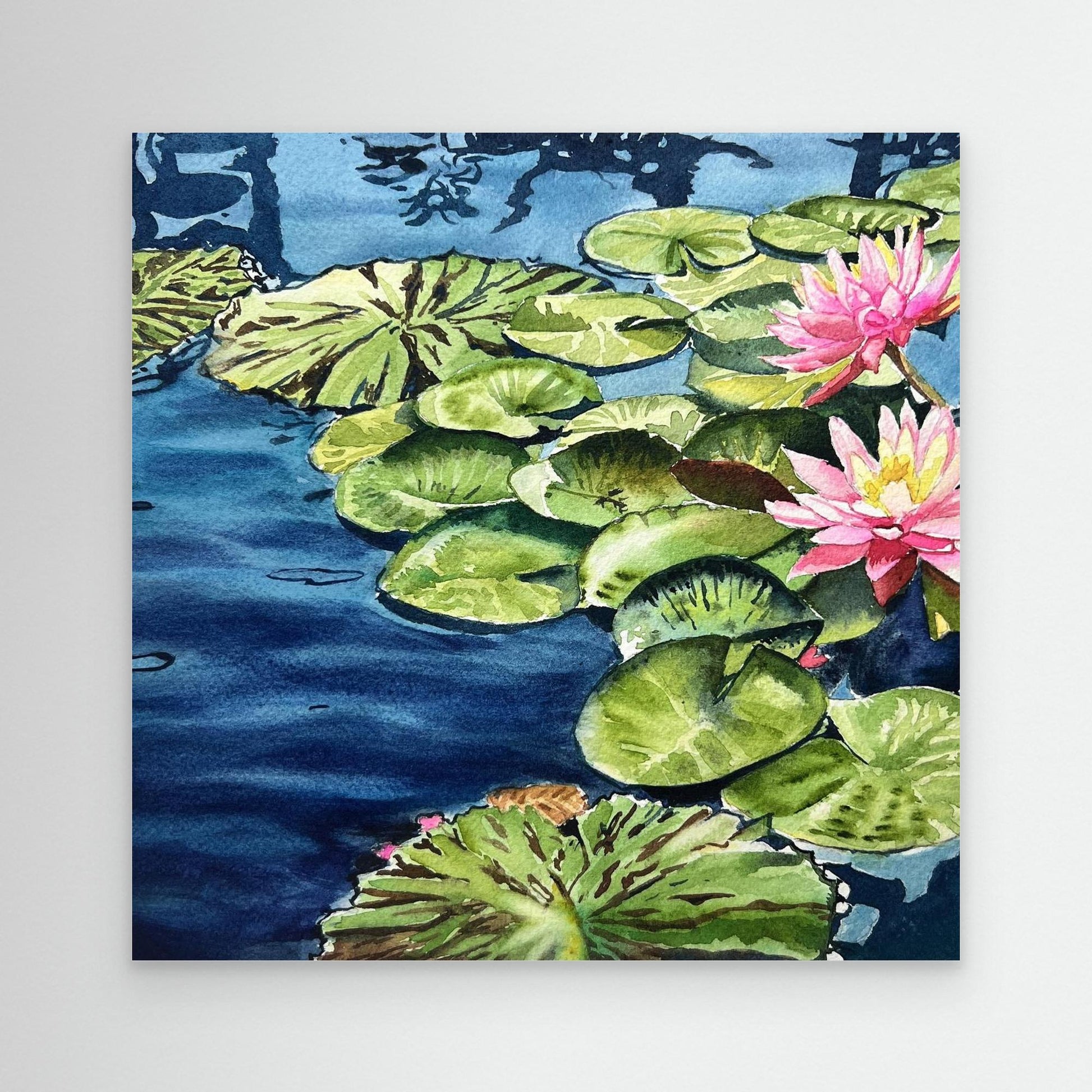 Water Lillies
