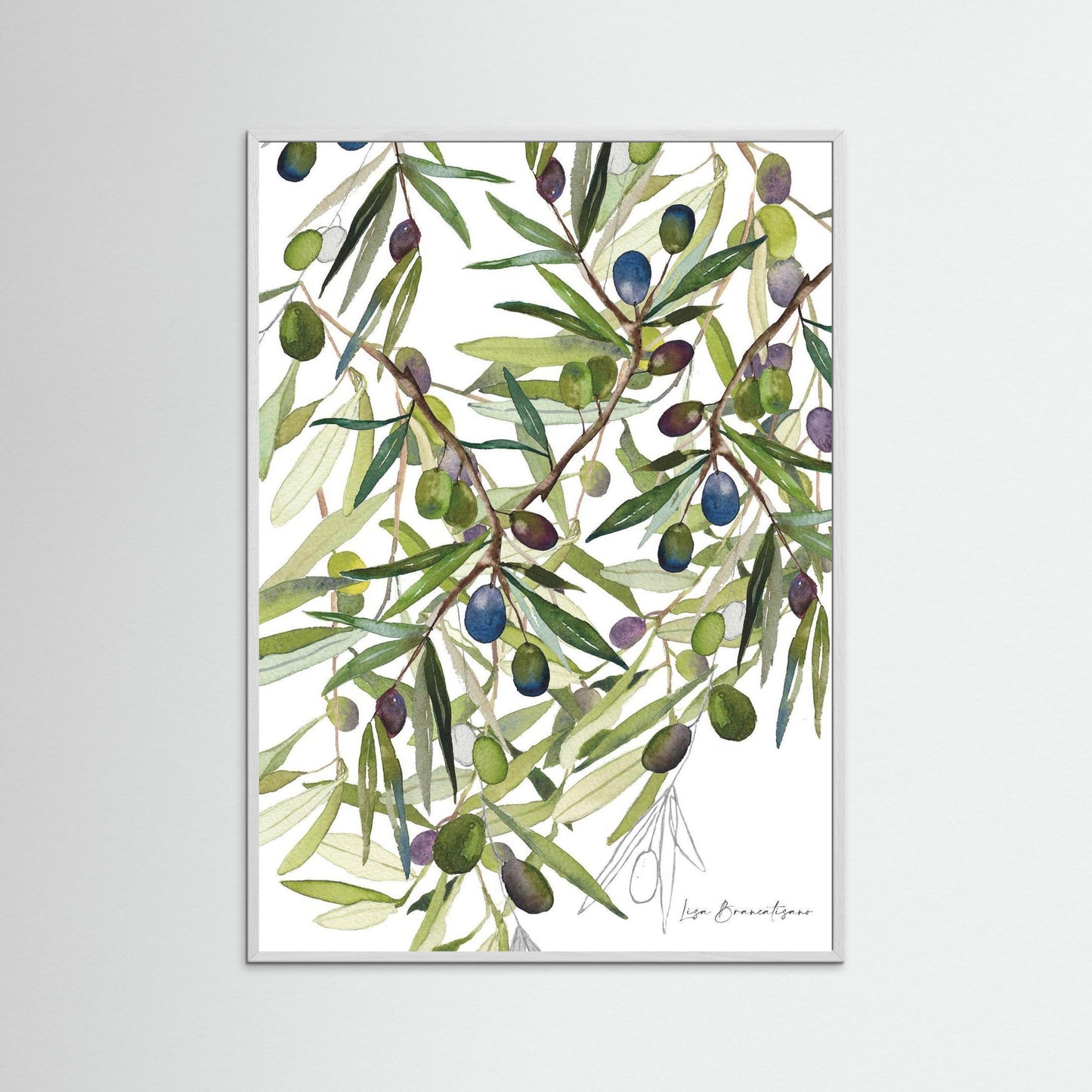 Olive Harvest
