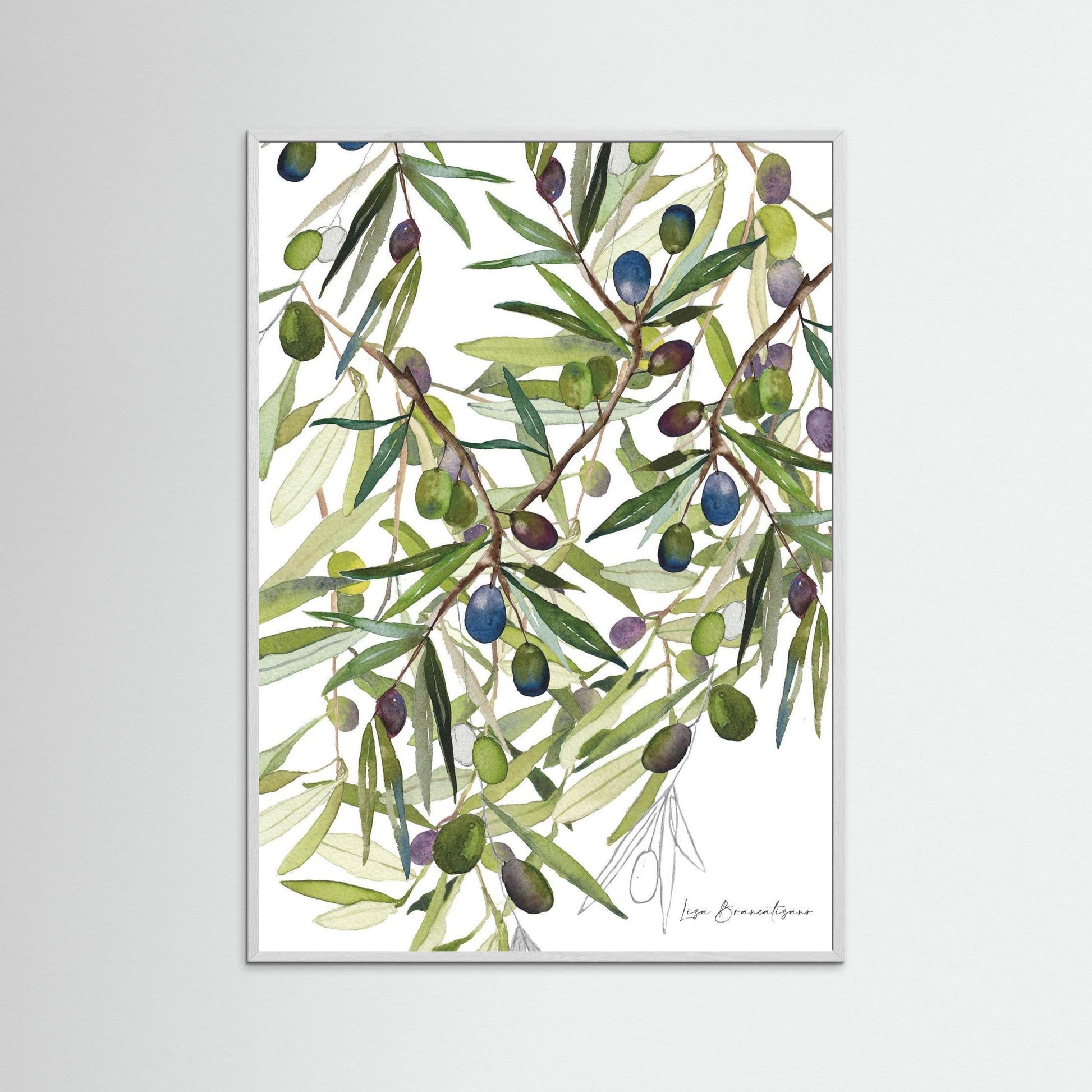 Olive Harvest