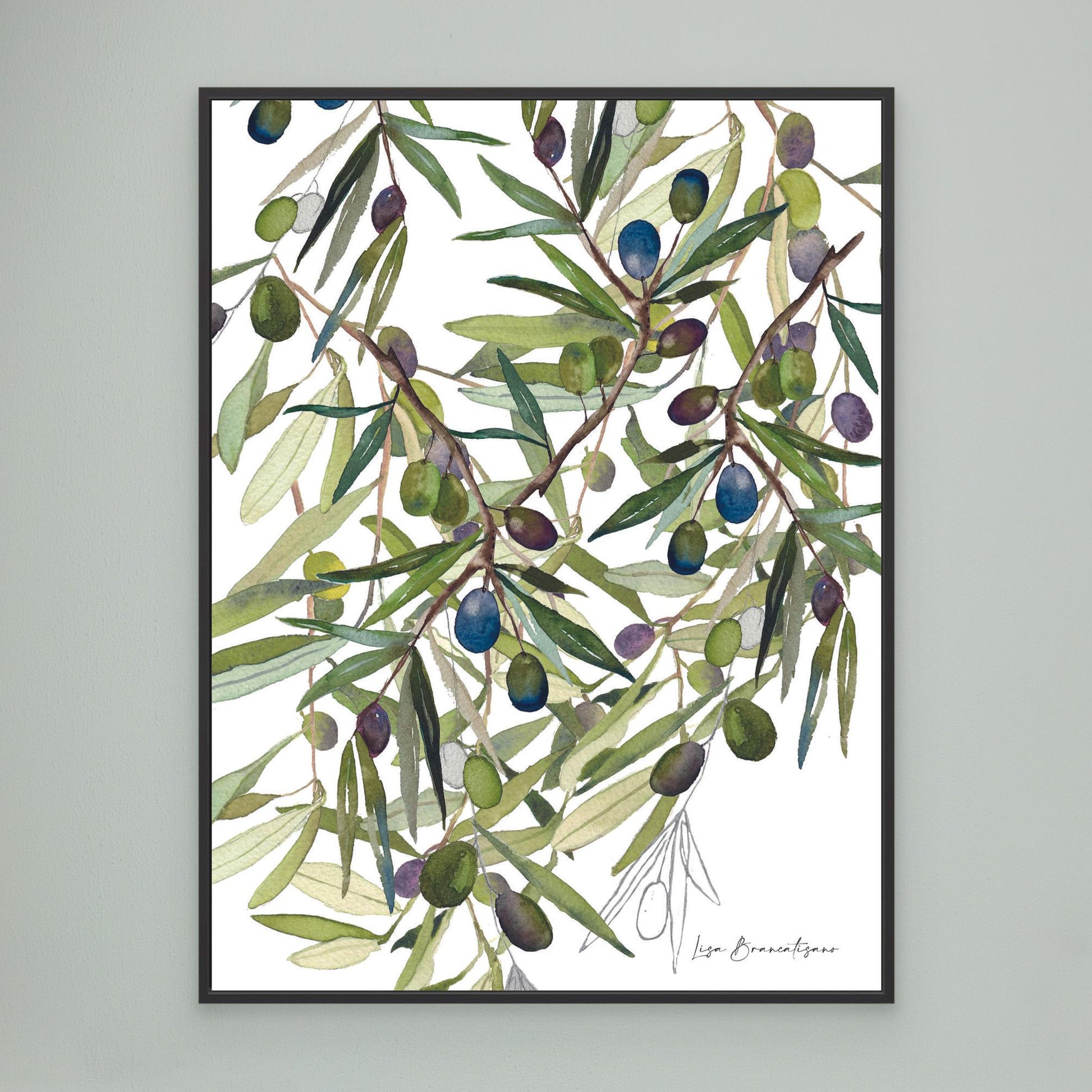 Olive Harvest