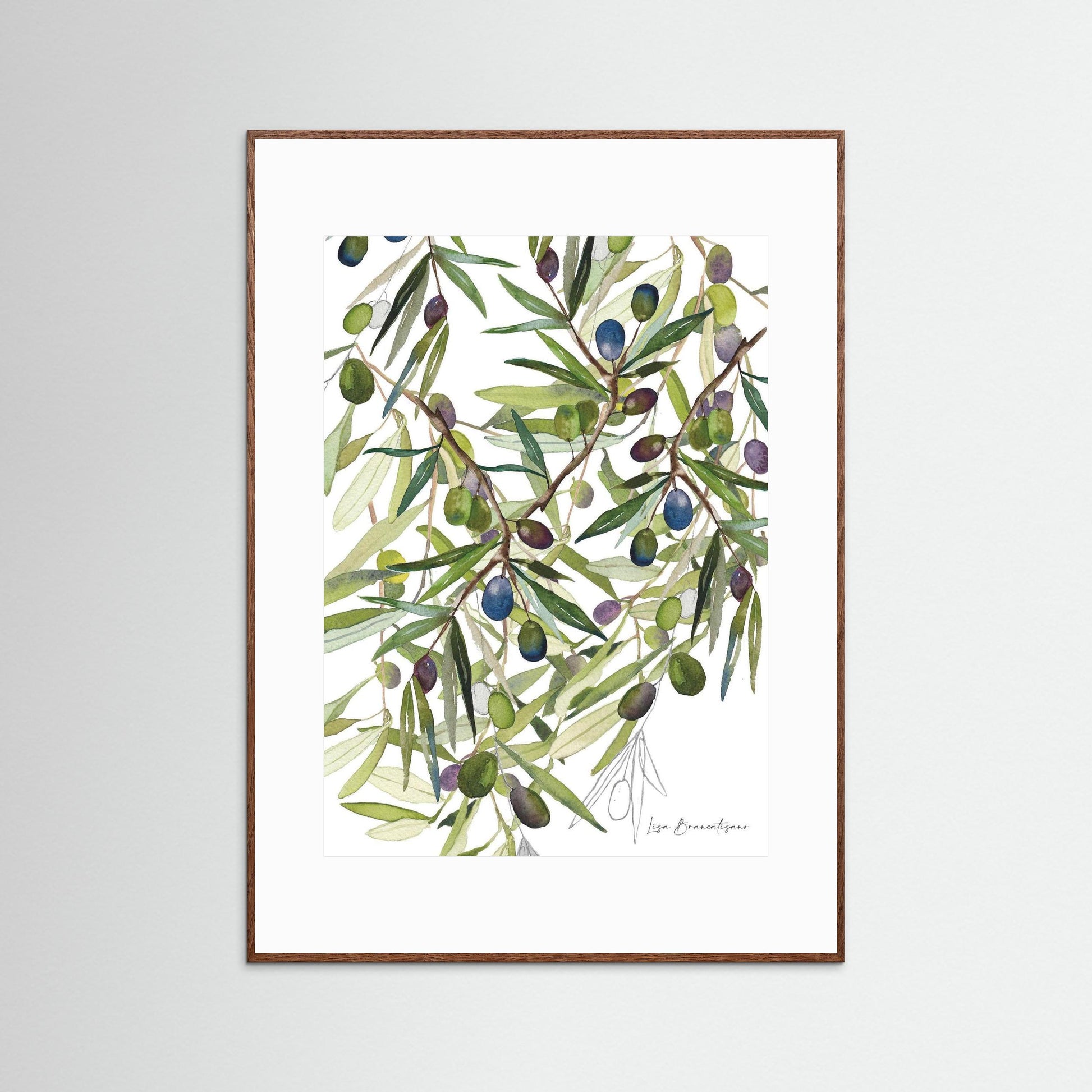 Olive Harvest