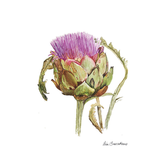 Large Artichoke Print