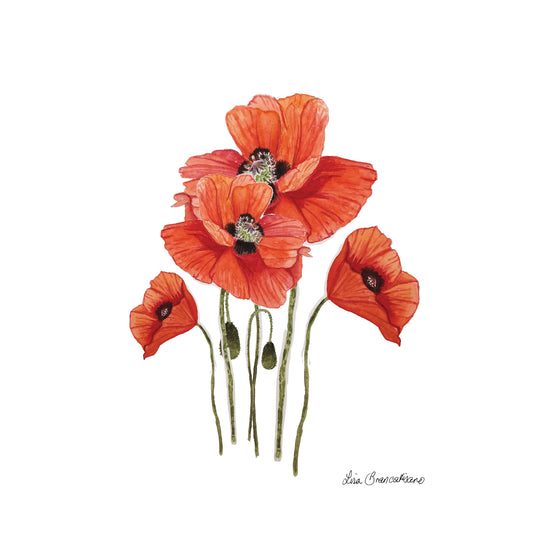 Large Poppy Print