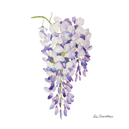 Copy of Large Wisteria #2 Print